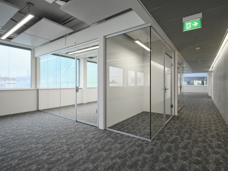 Fully developed office space in the Life Science Cluster Stücki Park (5)