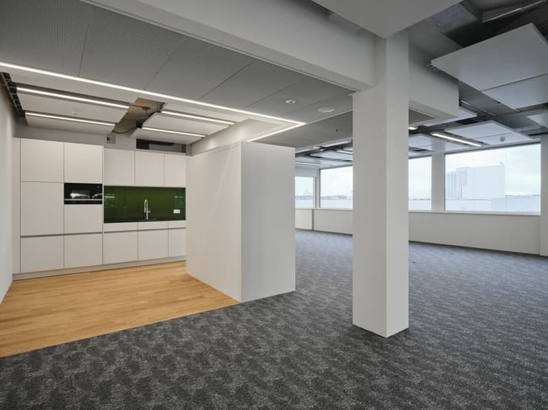 Fully developed office space in the Life Science Cluster Stücki Park (7)