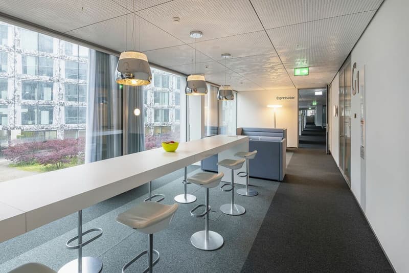 Business House "RICHTIPLATZ" - Your New Location? (6)