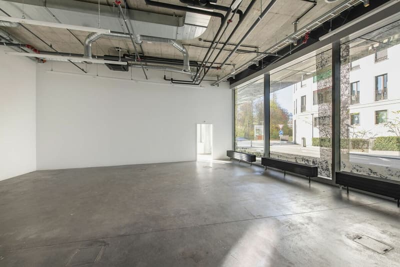 Gewerbefläche mit ca. 622m² im Geschäftshaus «RICHTIPLATZ» (9)