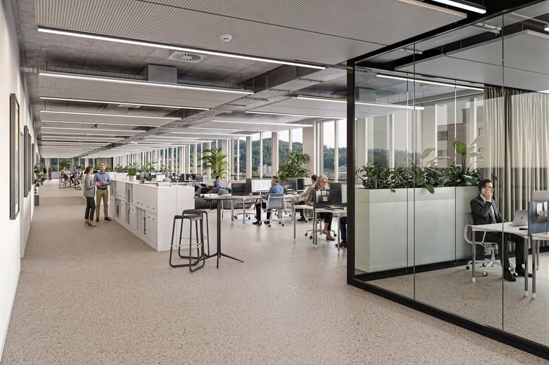 modern office space with glass walls, white cabinets, desks, chairs, plants, and people working