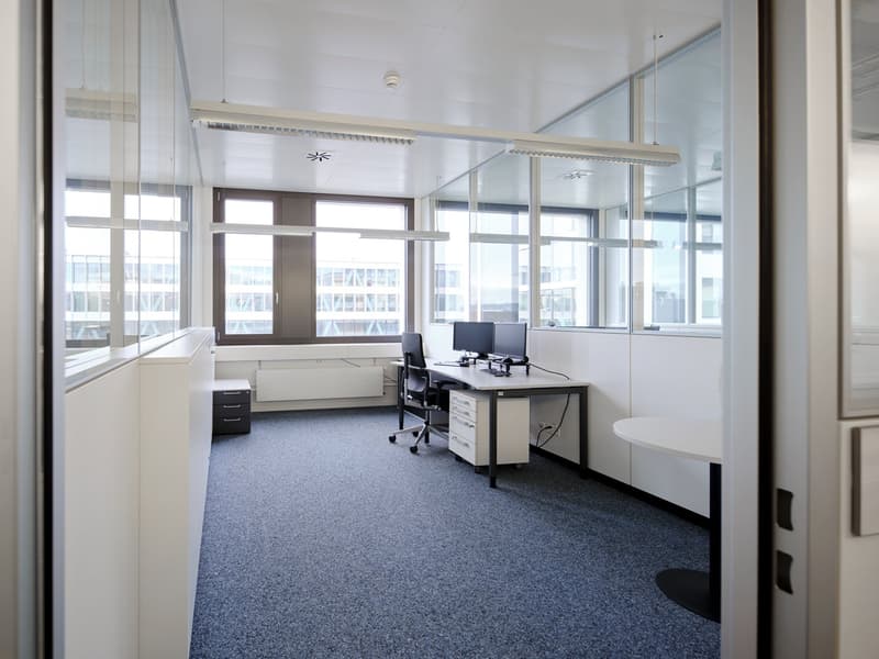 Contemporary office with glass partitions, carpeted floor, desk, computer monitors, office chair, round table, cabinets, windows