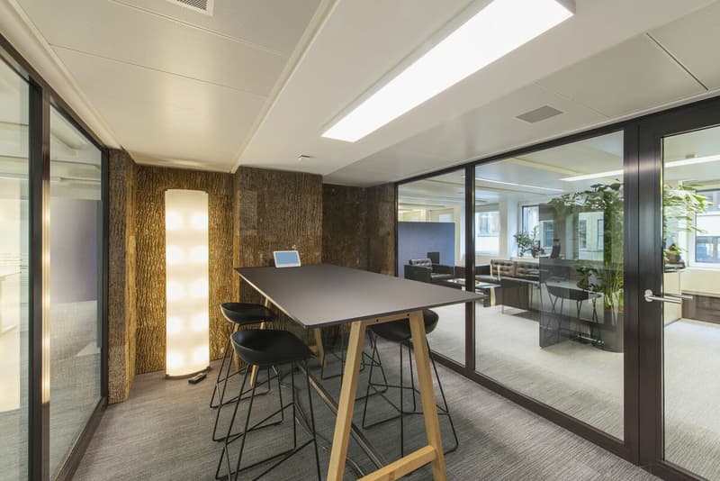 DIANA HOUSE - Votre adresse de bureau exclusive dans le CBD (4)