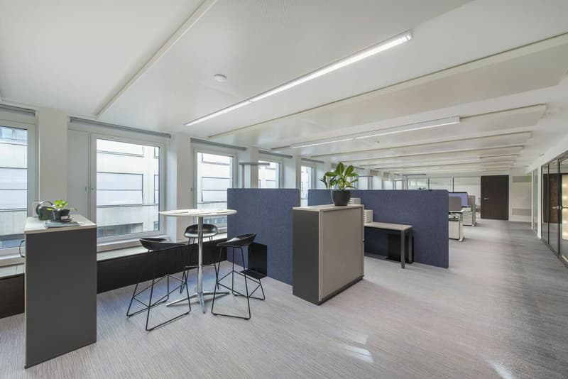DIANA HOUSE - Votre adresse de bureau exclusive dans le CBD (7)