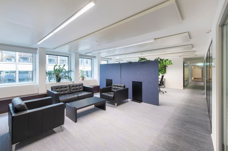 modern office with light fixtures, couch, coffee table, windows with plants, and dividers