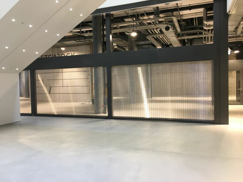 Ideale Mietfläche im Shopping Center Steinbock Chur (4)