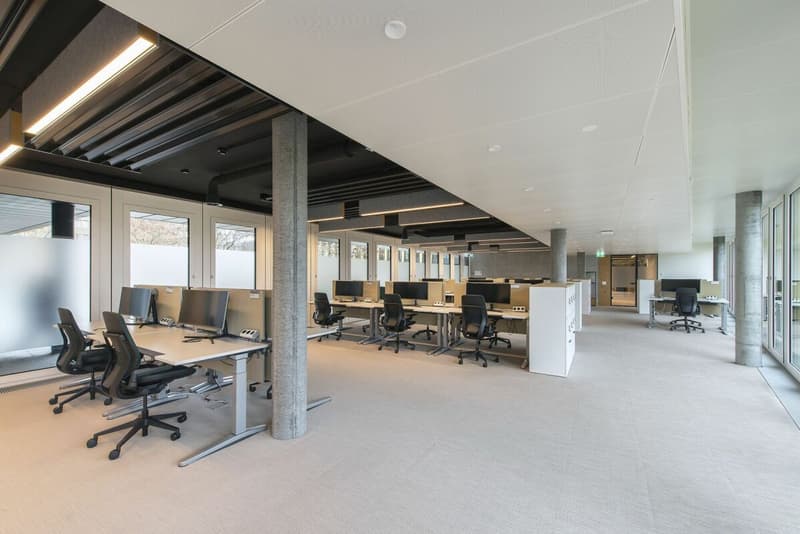 Hochwertig ausgebaute Bürofläche im «Quadrolith» (befristete Untermiete) (4)