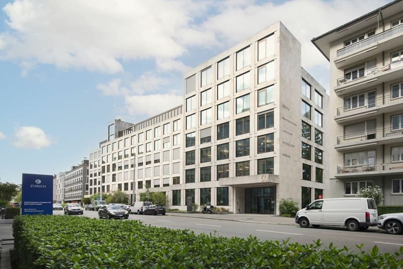 Arbeiten zwischen Stadt und Zürichsee (11)