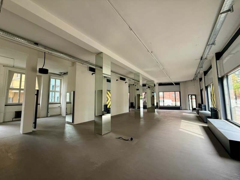 Ihre neue Geschäftsfläche in Zürich - Enge (3)
