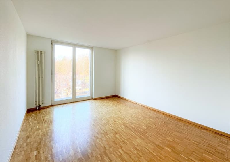 Zimmer2.png