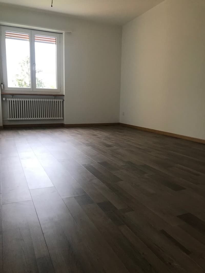 80801.03.0008_SZ1.jpg