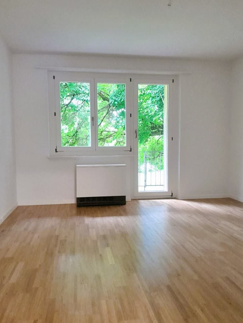 Zimmer_2.JPG