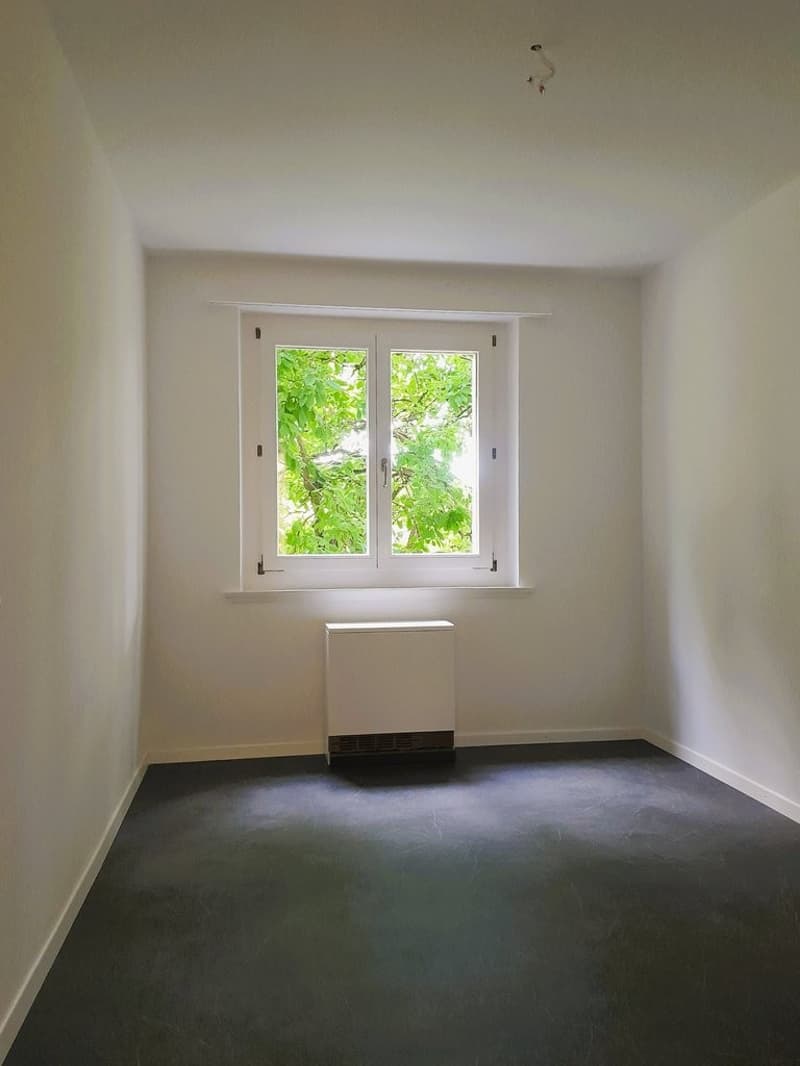 Zimmer_1.JPG