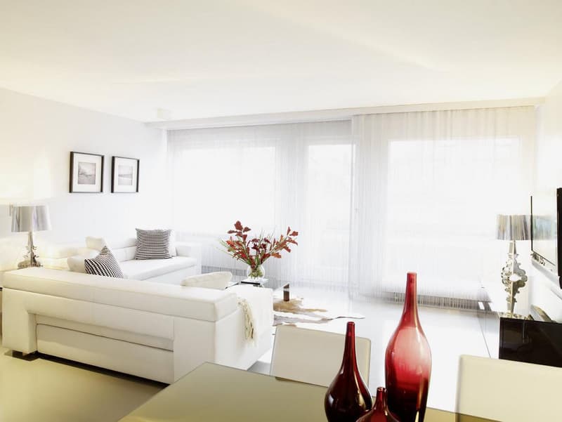 modern white furniture, large windows, glass table, decorative vases, indoor plant