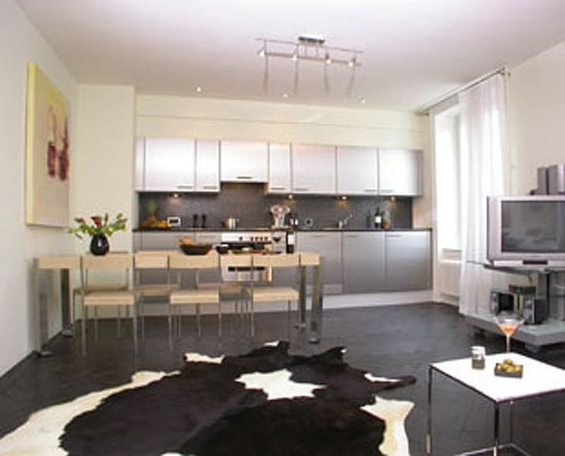 modern kitchen, dining area, living room, TV, cowhide rug