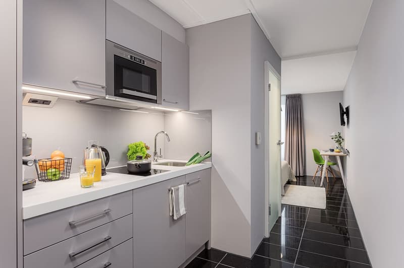 Möbliertes Studio (20 m²) an zentraler Lage in Luzern – ab 3 Monaten (3)