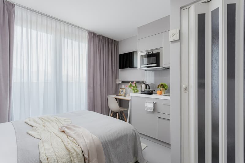 Möbliertes Studio (20 m²) an zentraler Lage in Luzern – ab 3 Monaten (4)