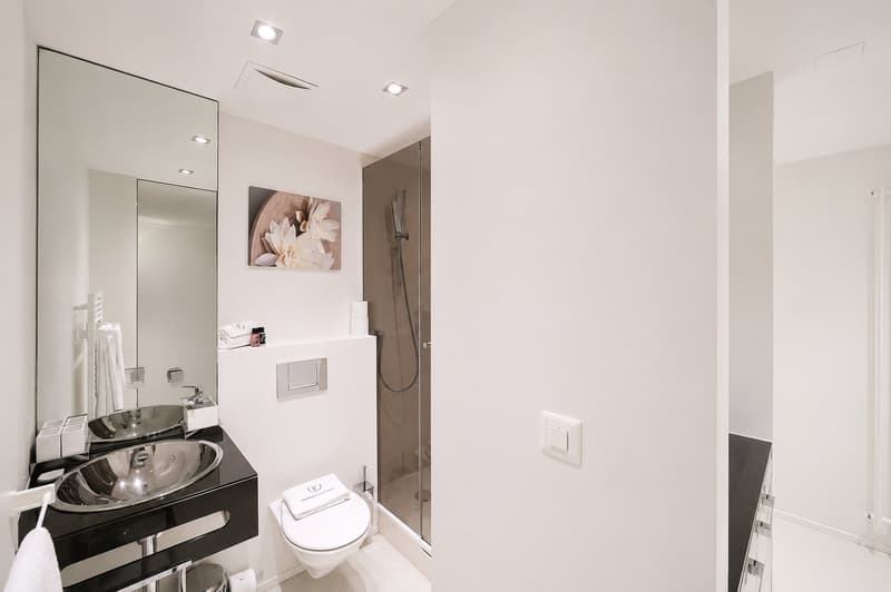BE02 – Studio Junior mit Kitchenette an der Bellariastrasse 36, Zürich (4)