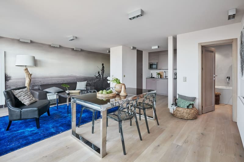 Spacious 4-Room Apartment (3 Bedroom) in Central Geneva – GL702 (3)