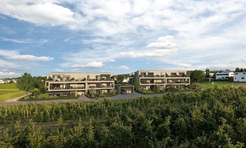 Projet "Seewärts" à Güttingen (7)
