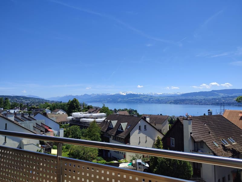 Phänomenale Aussicht (1)