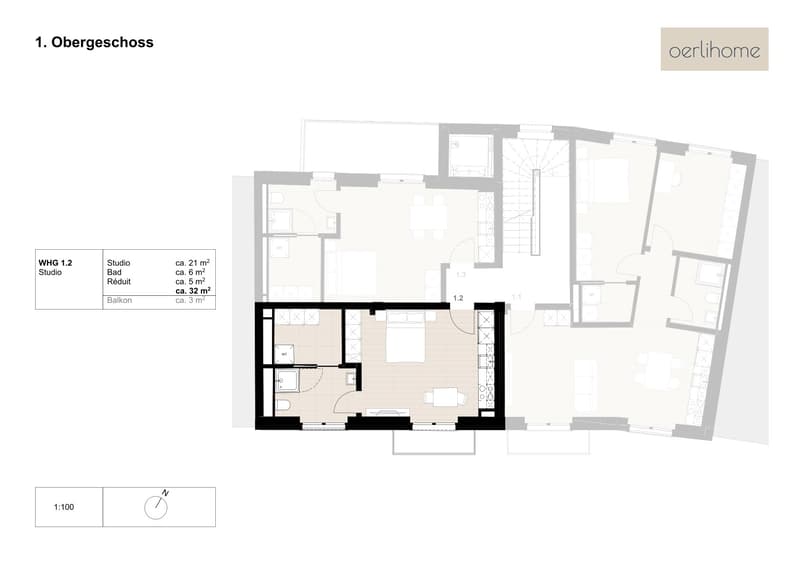 1-Zimmer-Wohnung mit grossem Reduit und Wäscheturm (1)