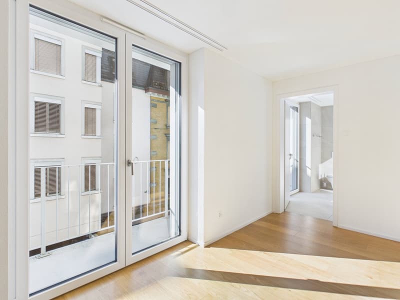 1-Zimmer-Wohnung mit grossem Reduit und Wäscheturm (2)