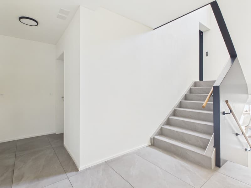 1-Zimmer-Wohnung mit grossem Reduit und Wäscheturm (12)