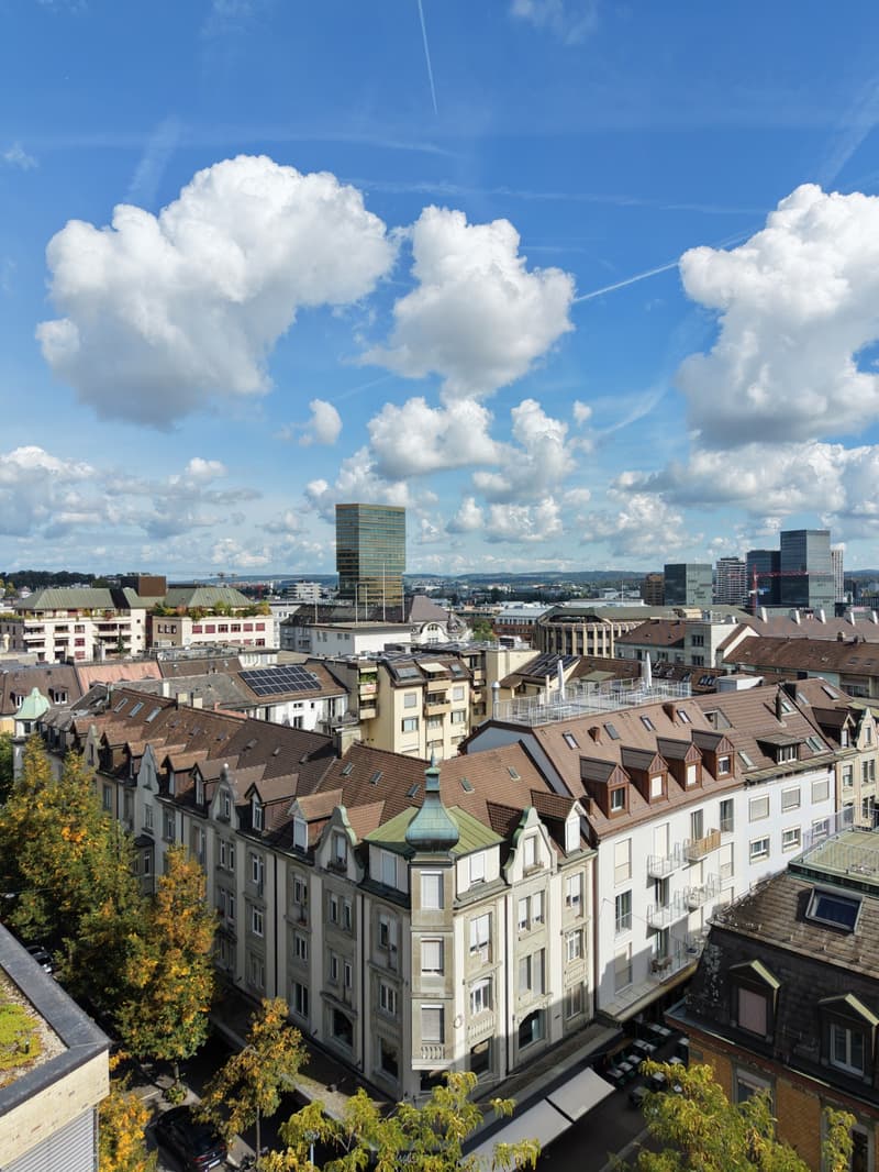 1-Zimmer-Wohnung mit grossem Reduit und Wäscheturm (1)
