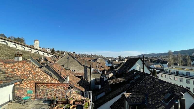 Hochwertige Gewerbefläche in der Altstadt Schaffhausen (12)