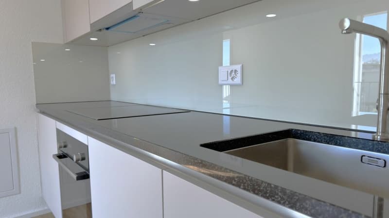 Moderne kleine Douplex Wohnung mit herrlicher Aussicht in Rapperswil zu vermieten (6)