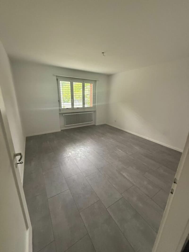 Helle 3 Zimmerwohnung in Aarburg (5)