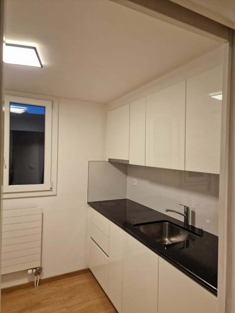 Renovierte 3 Zimmerwohnung in Kreuzlingen (5)