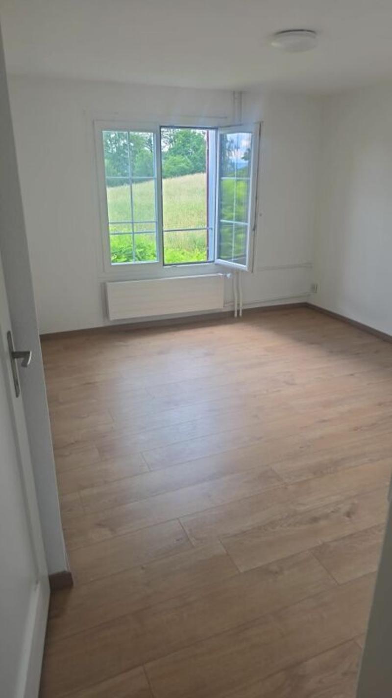 Renovierte 3 Zimmerwohnung in Kreuzlingen (9)
