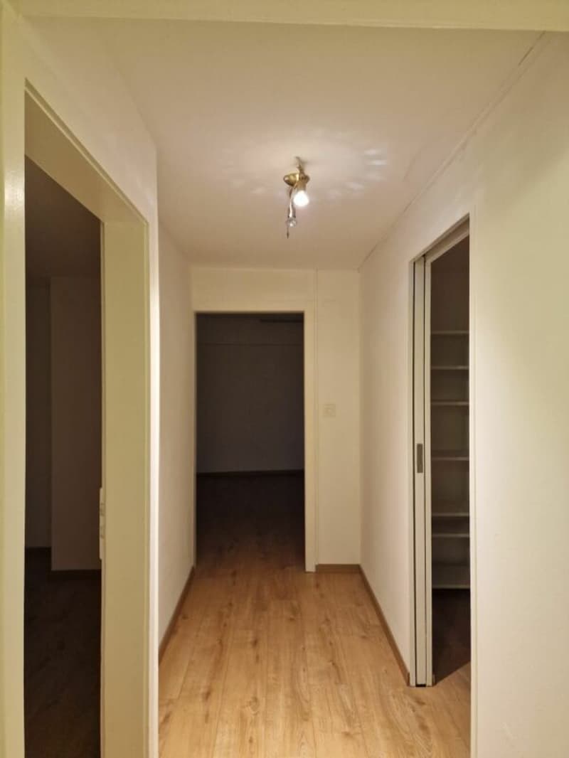 Renovierte 3 Zimmerwohnung in Kreuzlingen (8)