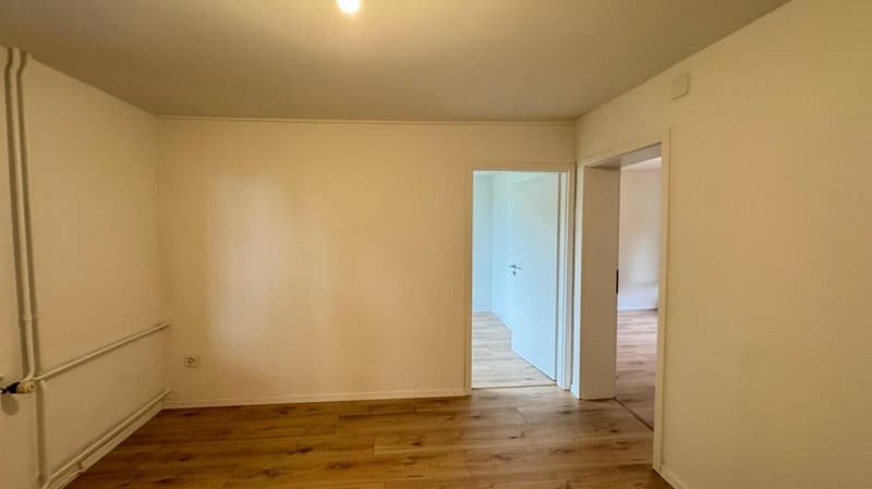 Renovierte 3 Zimmerwohnung in Kreuzlingen (3)