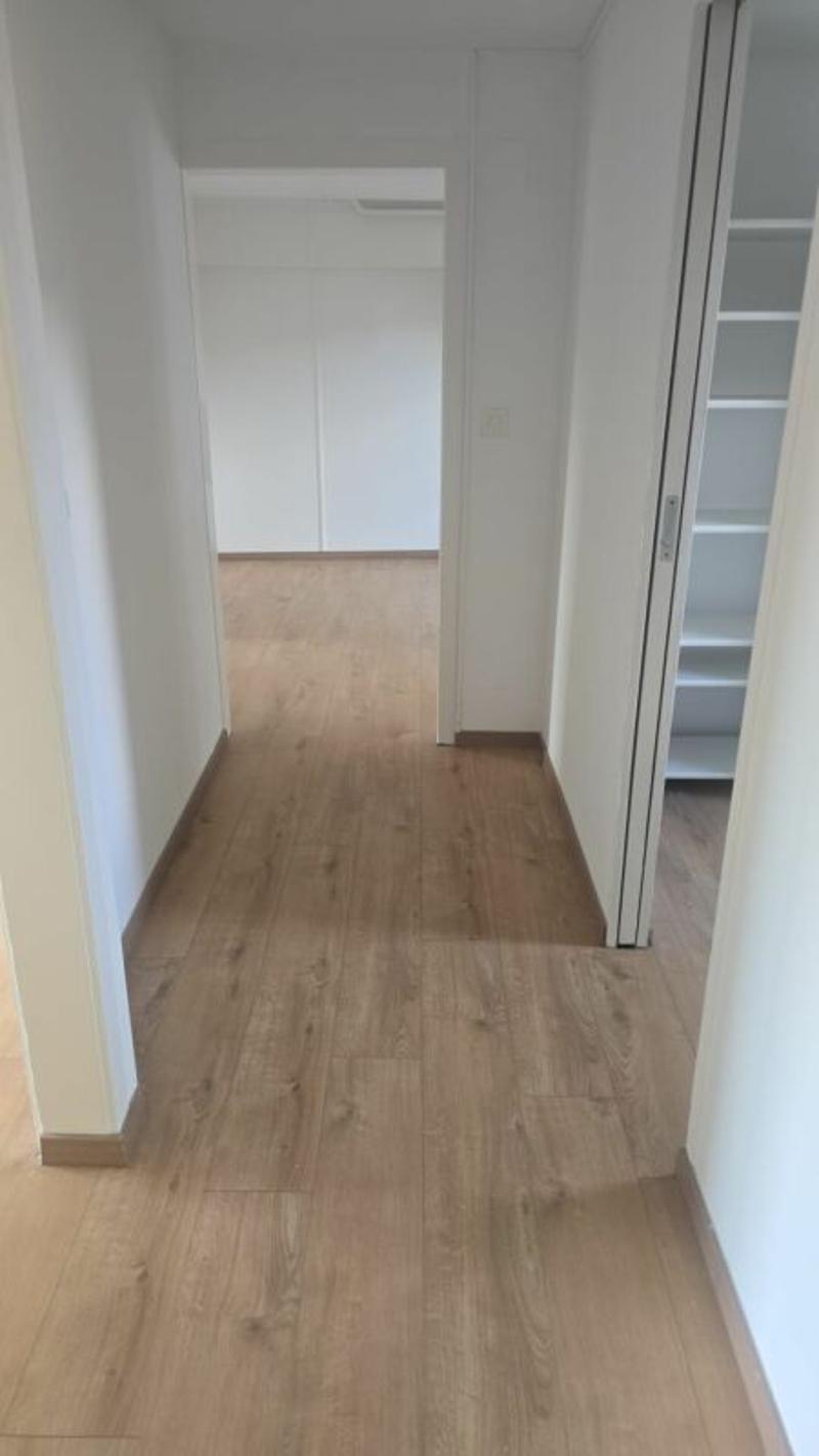 Renovierte 3 Zimmerwohnung in Kreuzlingen (10)