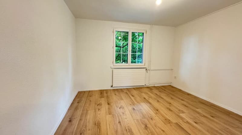 Renovierte 3 Zimmerwohnung in Kreuzlingen (1)