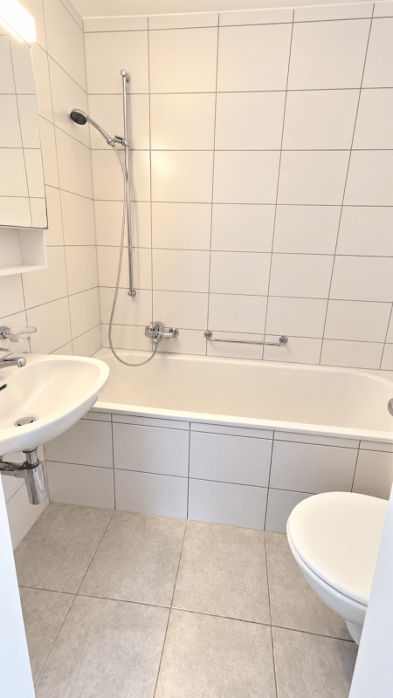 Neu Sanierte 3 Zimmerwohnung zentrale Lage ! (7)