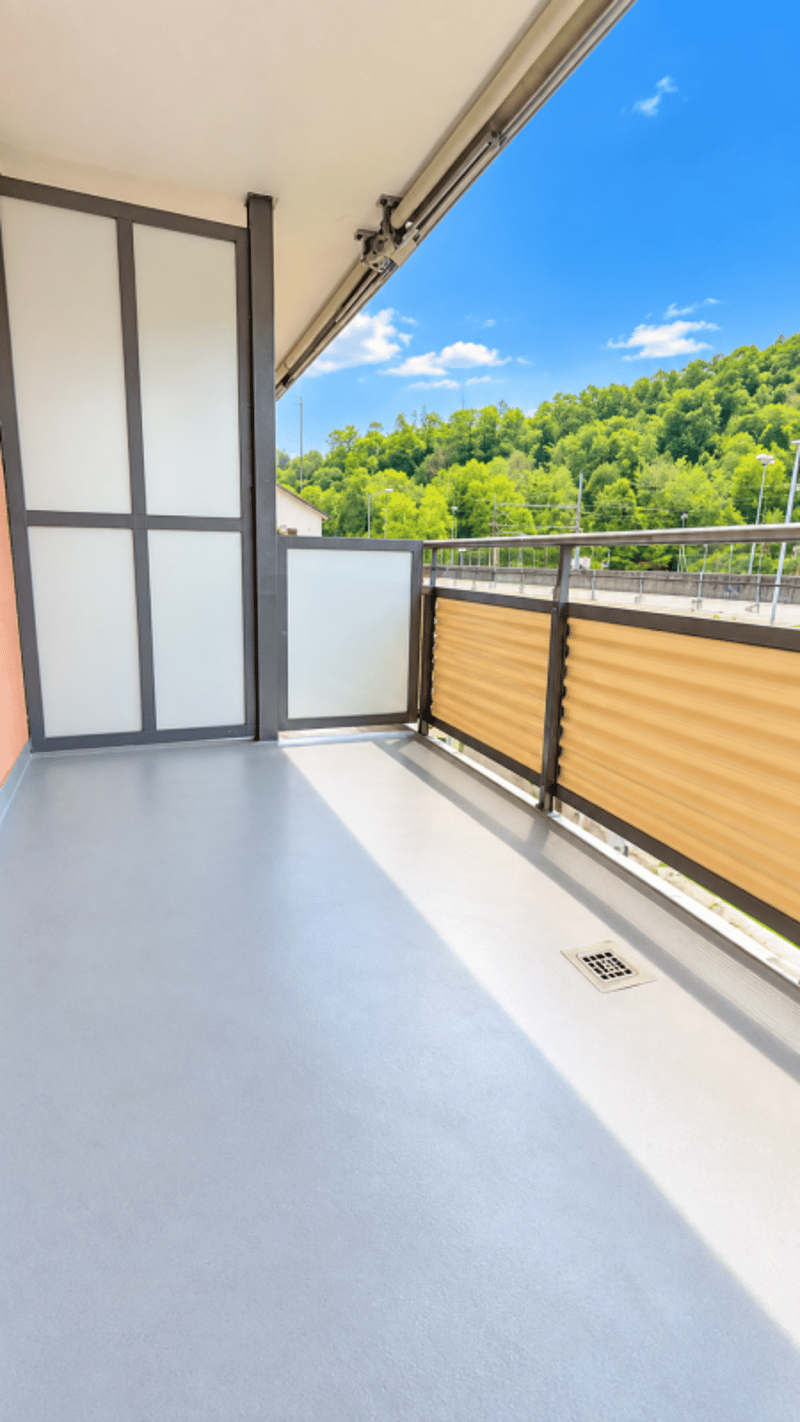 Neu Sanierte 3 Zimmerwohnung zentrale Lage ! (10)