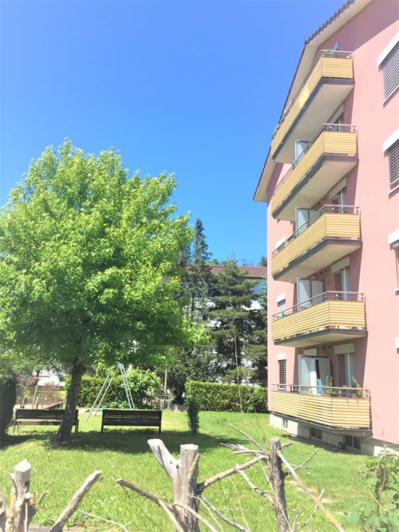 Neu Sanierte 3 Zimmerwohnung zentrale Lage ! (4)