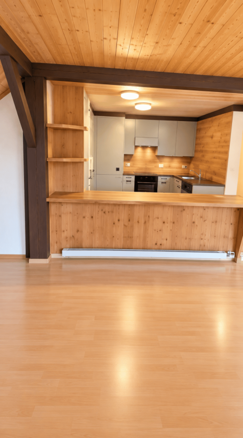 Charmante Dachwohnung direkt neben der Universität St. Gallen (HSG) (5)