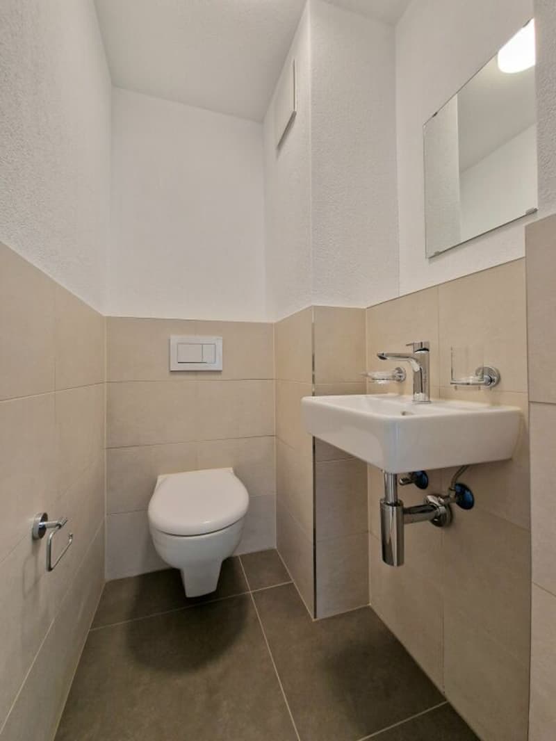 First-time rental 3.0-room apartment - completely renovated - 2 balconies - quiet location in Solothurn (15)