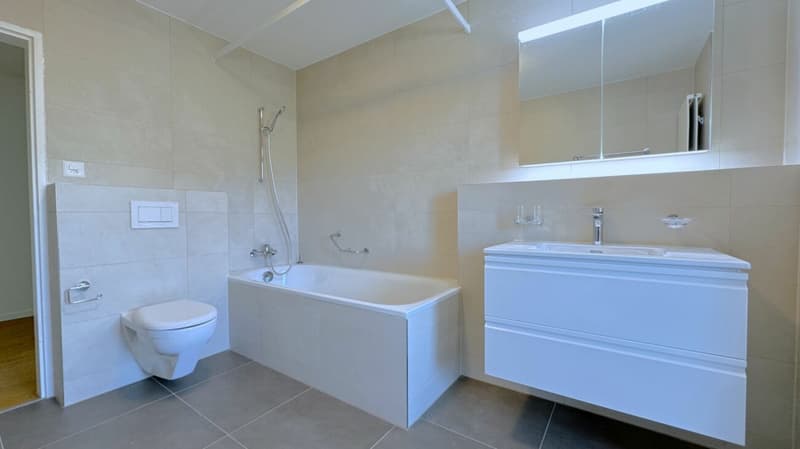 ERSTBEZUG 4.5-Zimmer-Wohnung 140 m2 - totalsaniert - 3 Balkone - ruhige Lage in Solothurn (14)