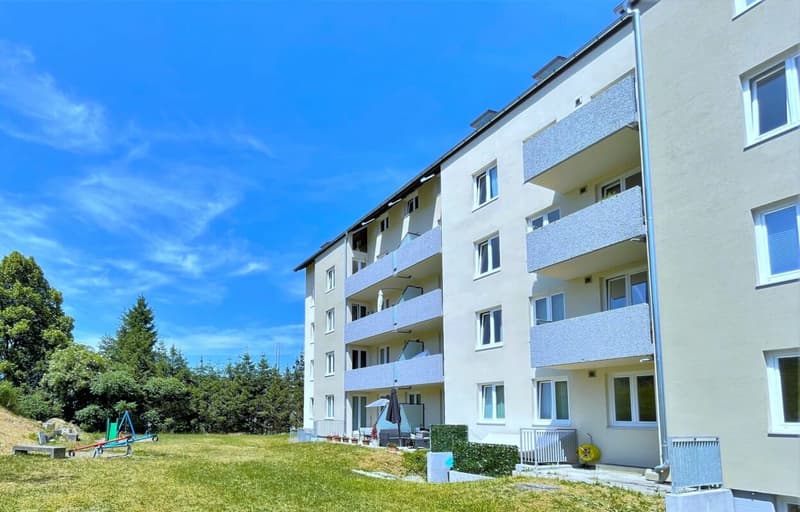 Spacieuse appartement de 2.5 pièces au calme avec balcon, place de parking et bonne accessibilité (1)