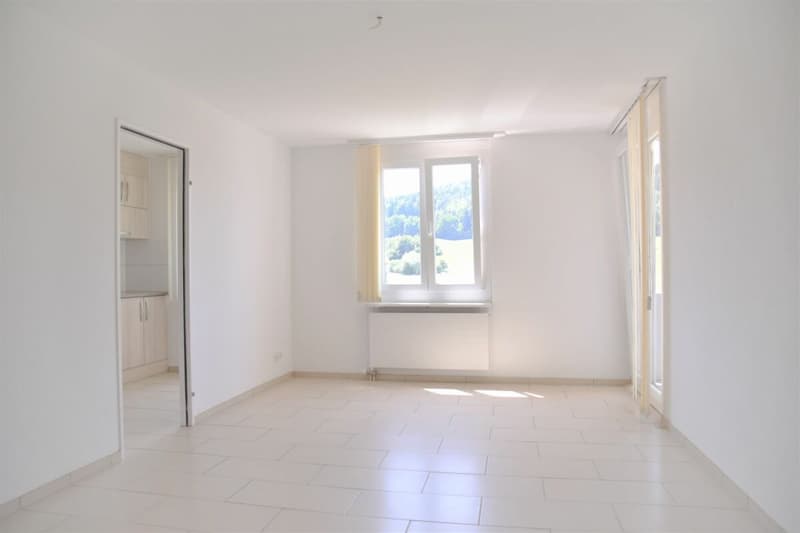 Spacieuse appartement de 2.5 pièces au calme avec balcon, place de parking et bonne accessibilité (13)