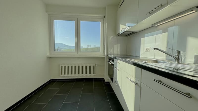 Bel appartement 4.5 pièces rénové avec vue à Delémont (2)