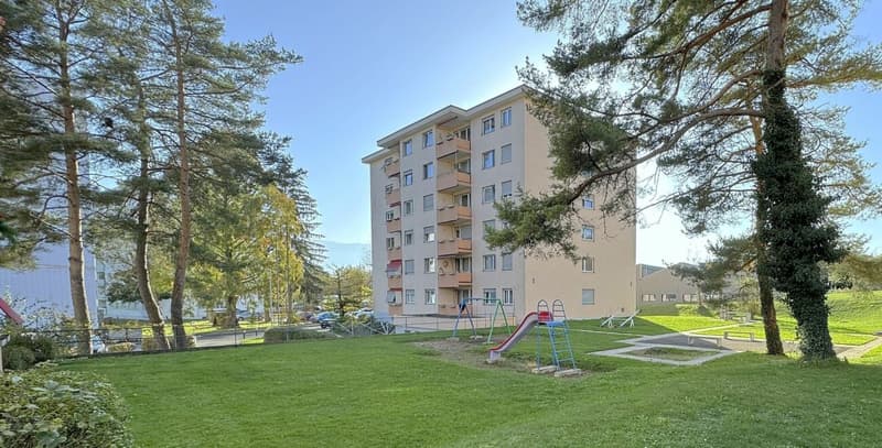 Bel appartement 4.5 pièces rénové avec vue à Delémont (11)