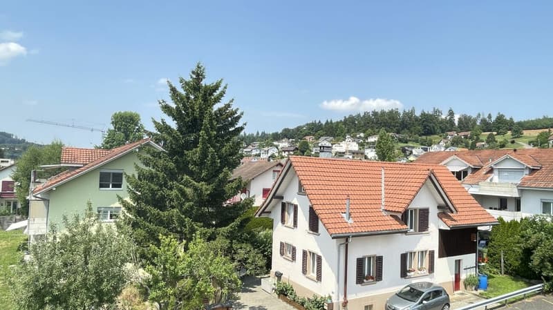 Schöne 1.5 Wohnung in Oberkulm (4)
