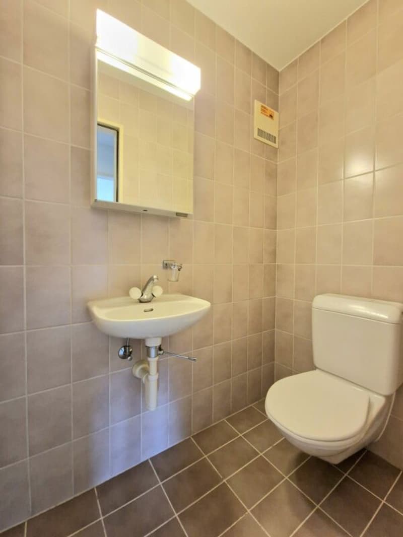 Grosse Sanierte 5.0 Maisonette Wohnung mit Balkon in einer ruhiger Lage Solothurn (10)